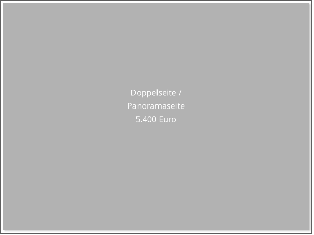 Doppelseite /  Panoramaseite 5.400 Euro